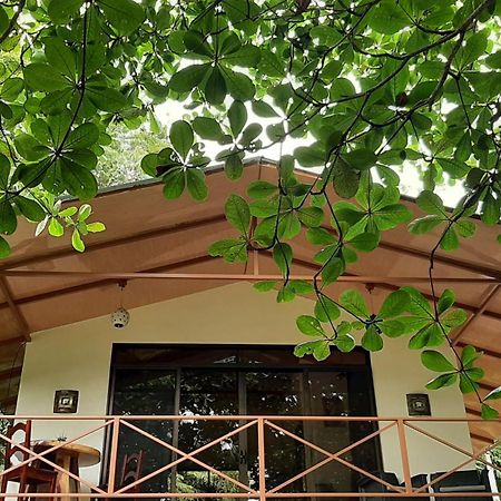 까위따 Casa Martina 아파트 외부 사진