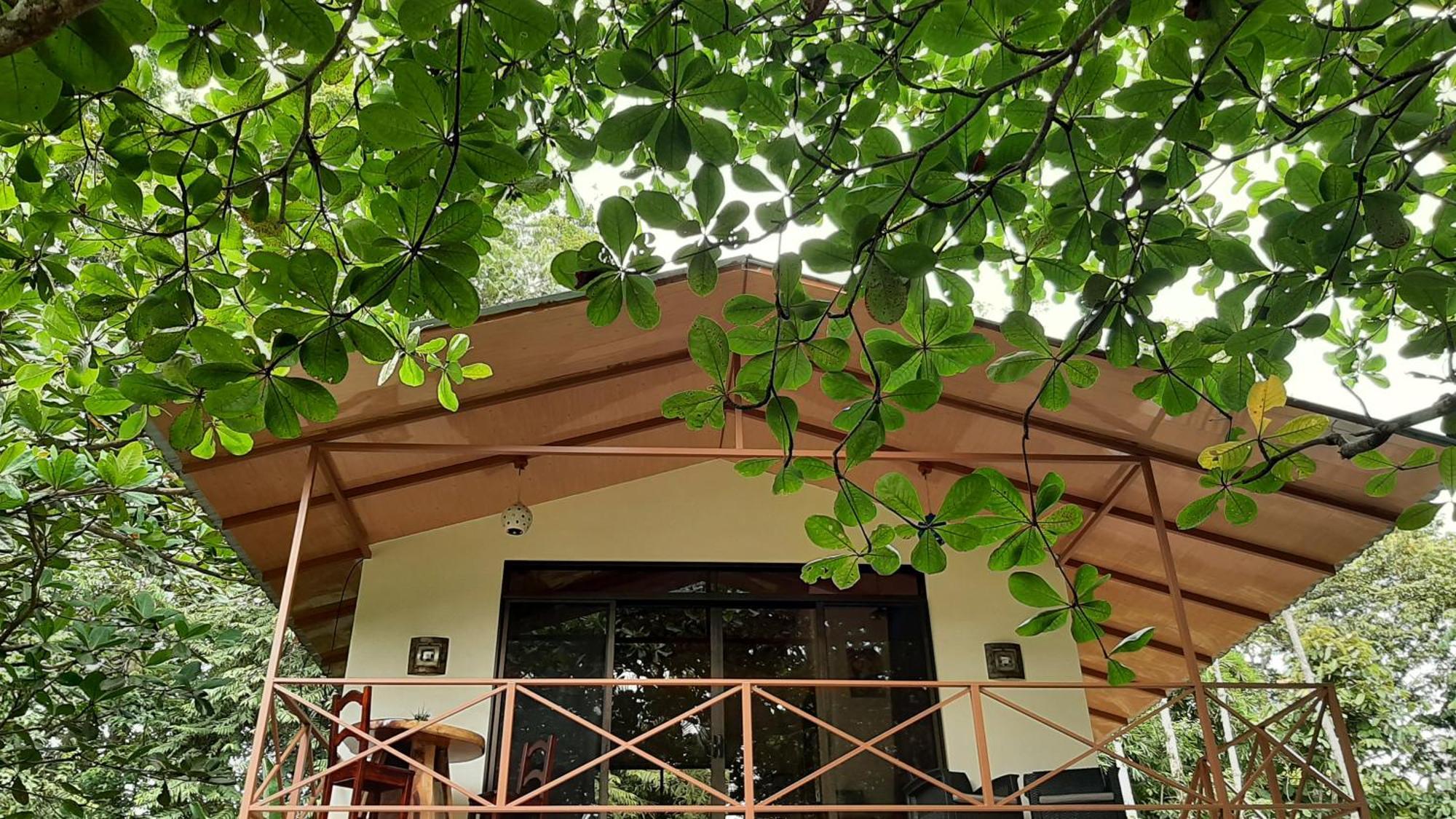 까위따 Casa Martina 아파트 외부 사진